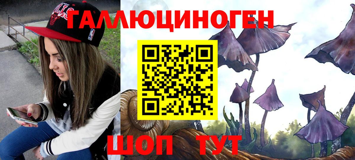 Галлюциногенные грибы Psilocybe  Вход с VPN  Таганрог  Галлюциногенные грибы Magic Shrooms 